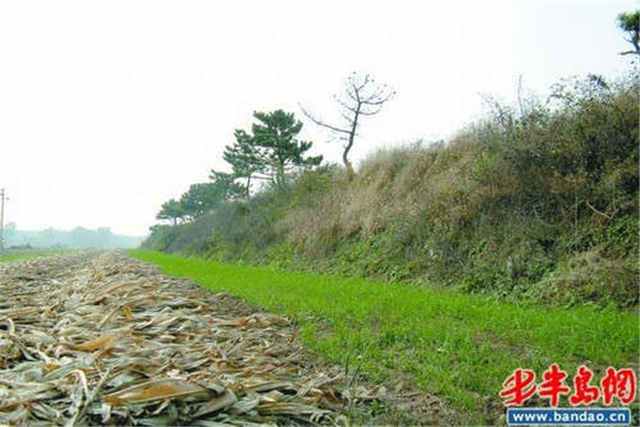 盘点青岛十大文化遗址第十个地方你肯定去过 盘点青岛十大文化遗址第十个地方你肯定去过