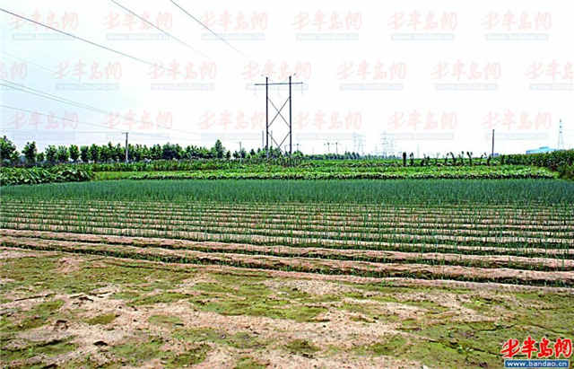 盘点青岛十大文化遗址第十个地方你肯定去过 盘点青岛十大文化遗址第十个地方你肯定去过