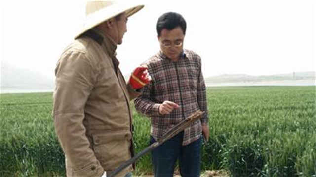 盘点青岛十大文化遗址第十个地方你肯定去过 盘点青岛十大文化遗址第十个地方你肯定去过