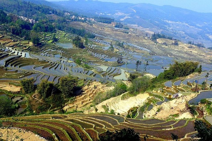 红河哈尼梯田