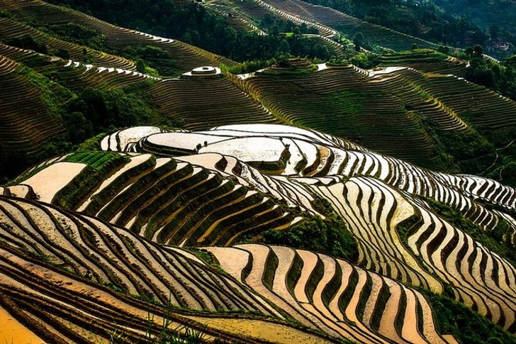 龙脊梯田