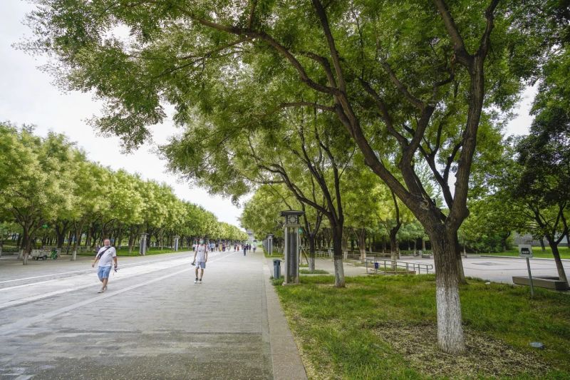 触摸时光的纹理~来东城,一起寻觅这些古迹遗址 (29).jpg