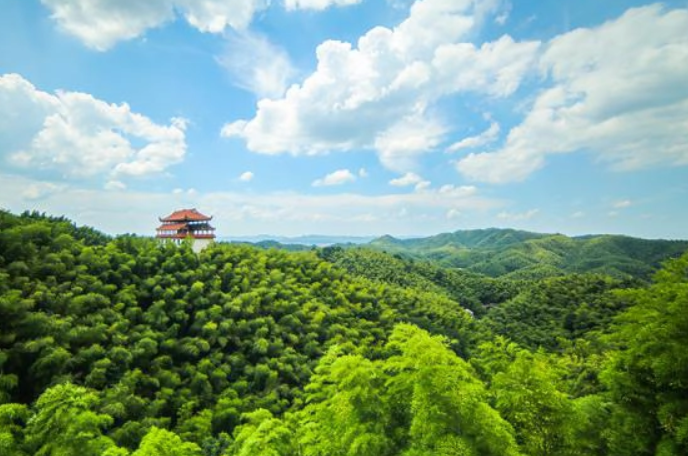 桃花江竹海风景区