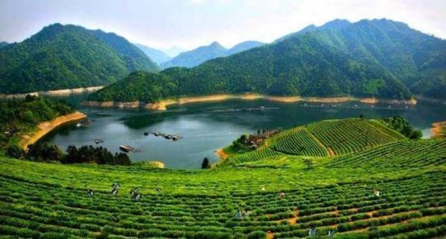 益阳旅游必去十大景点(益阳旅游景点推荐) 益阳旅游必去十大景点(益阳旅游景点推荐)