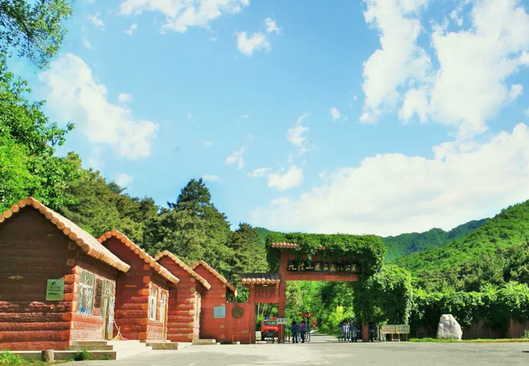 九龙山国家森林公园
