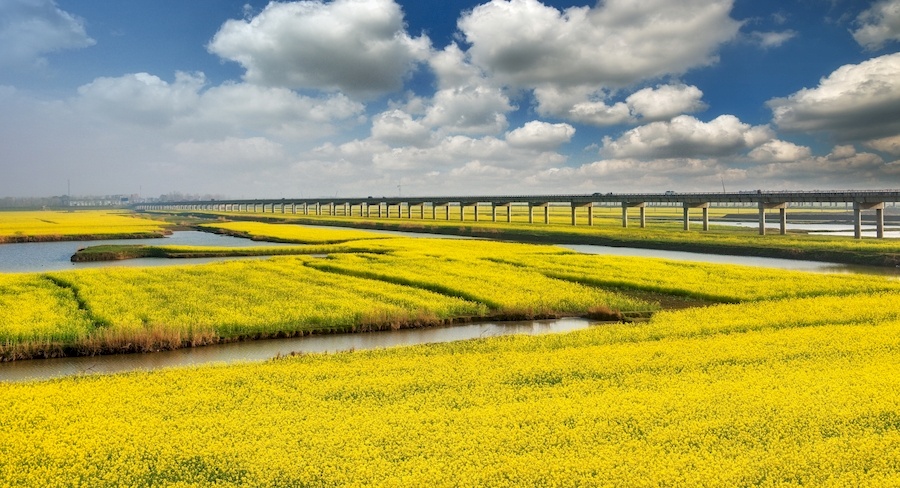 阜阳旅游景点排行榜(安徽阜阳十大旅游景点) 阜阳旅游景点排行榜(安徽阜阳十大旅游景点)