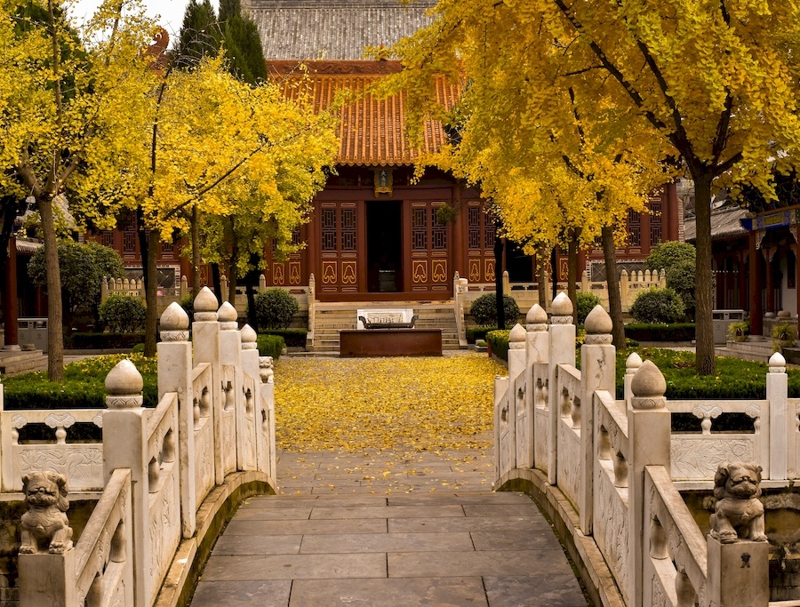 阜阳旅游景点排行榜(安徽阜阳十大旅游景点) 阜阳旅游景点排行榜(安徽阜阳十大旅游景点)