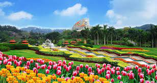 Guangzhou Travel Place For Tourist 4