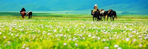 经典收藏 盘点36条中国最佳自驾游线路 经典收藏 盘点36条中国最佳自驾游线路