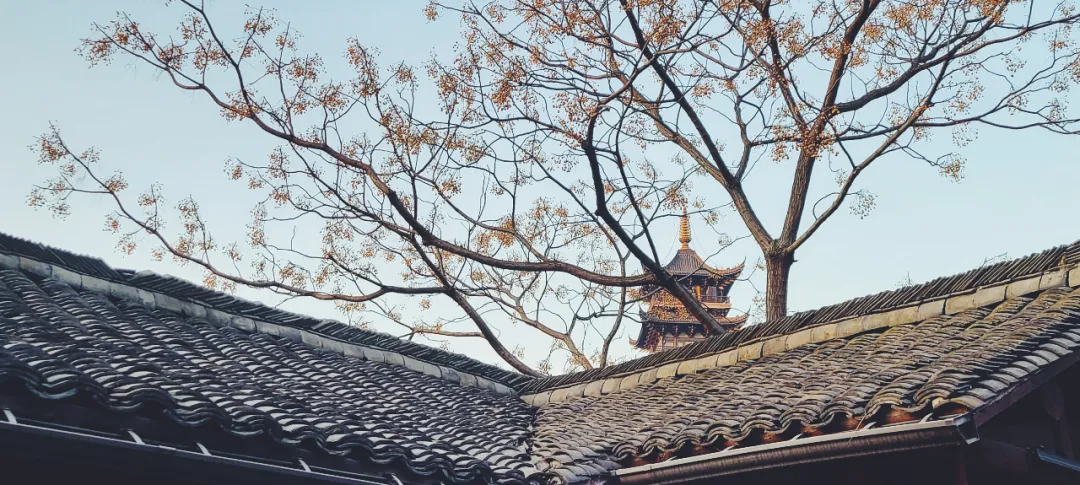 景区运营的七种商业模式和六点建议