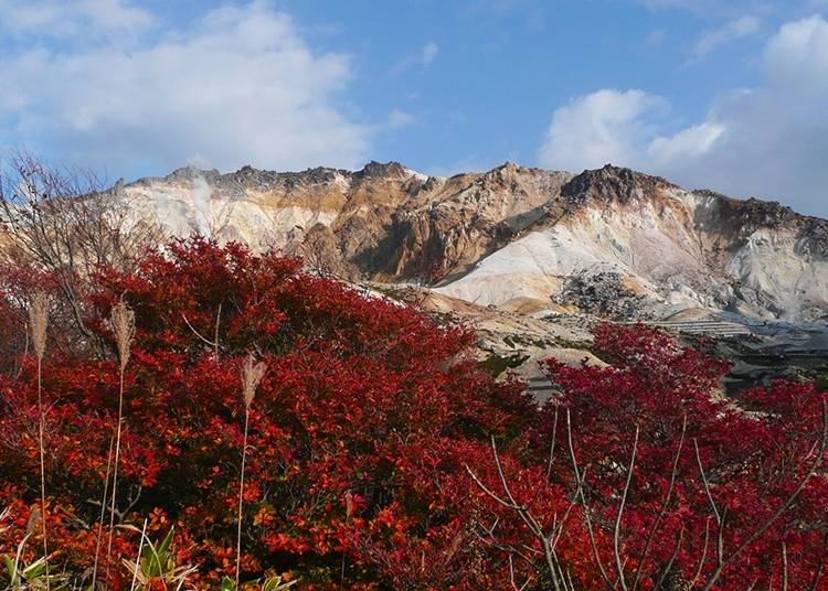 壮丽活火山~惠山