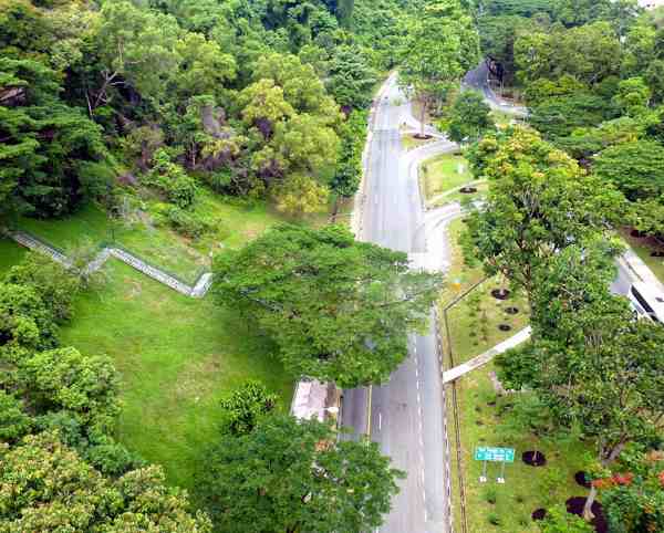 新加坡花柏山公园