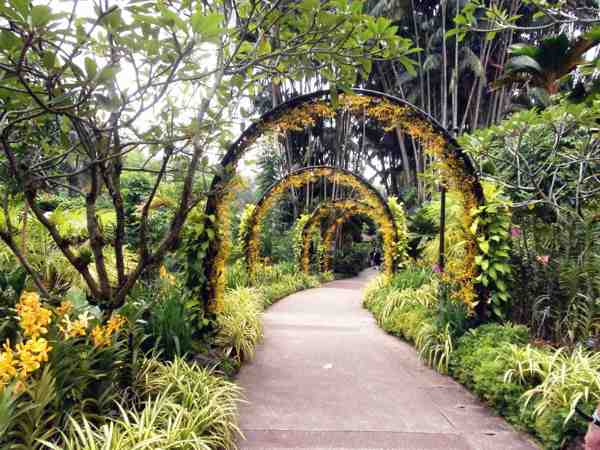 新加坡植物园