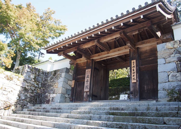 三千院的玄关。历史悠久的寺院楼门「御殿门」