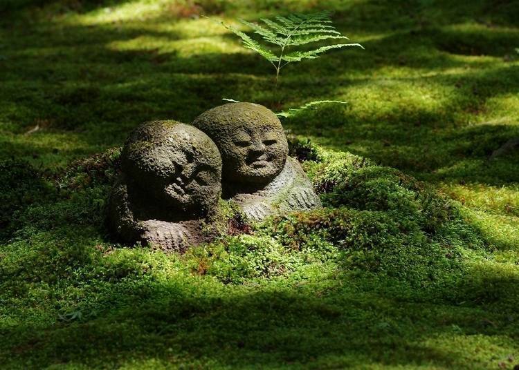 青苔之中藏着安详表情的童地藏。 (作:杉村孝)