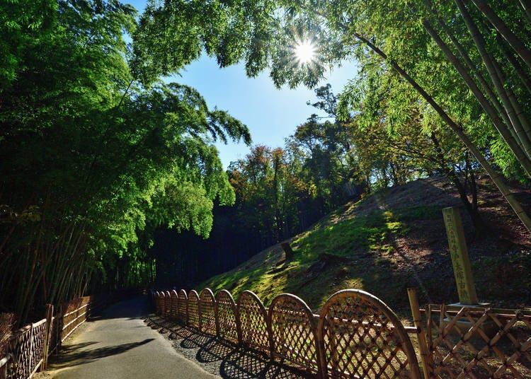 图片是「古坟垣」。其他还有8条竹围栏的小径和竹林。