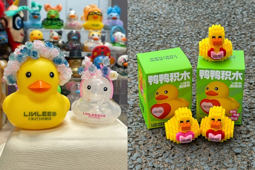 1730692947197710.jpg 图11.jpg