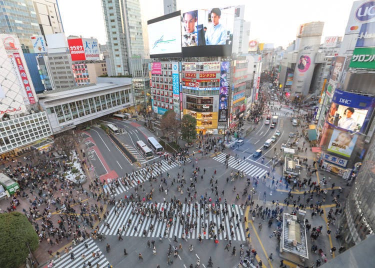 「CROSSING VIEW」的入场费为300日元