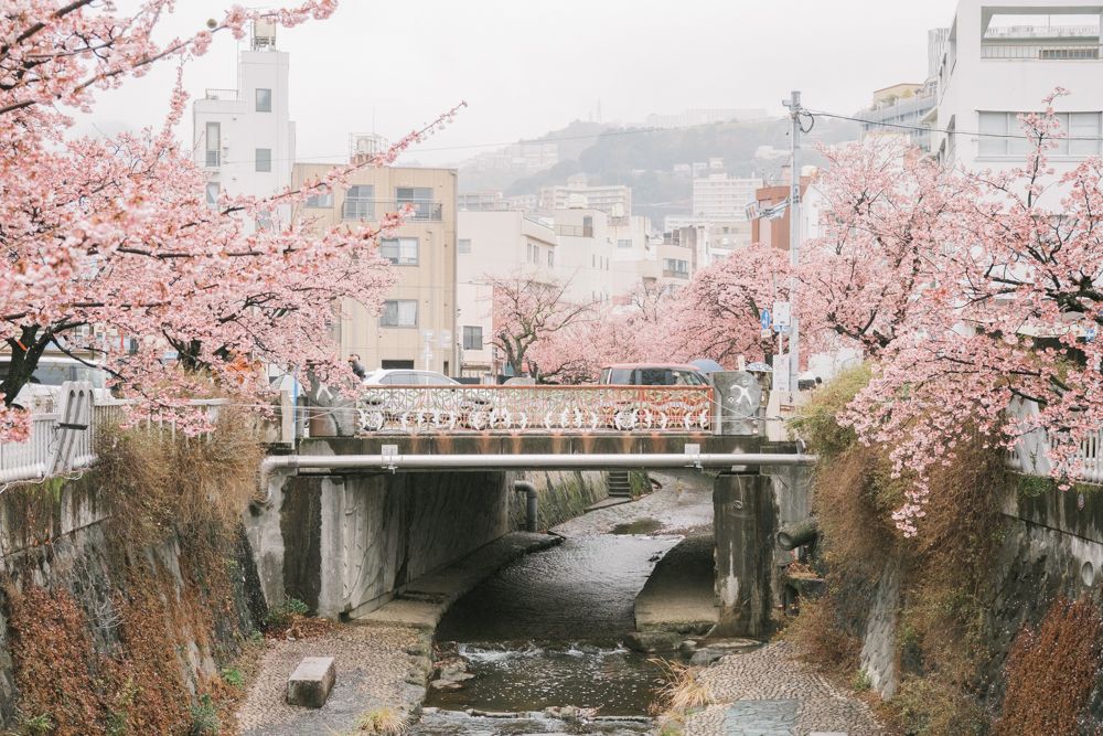 熱海-11.jpg