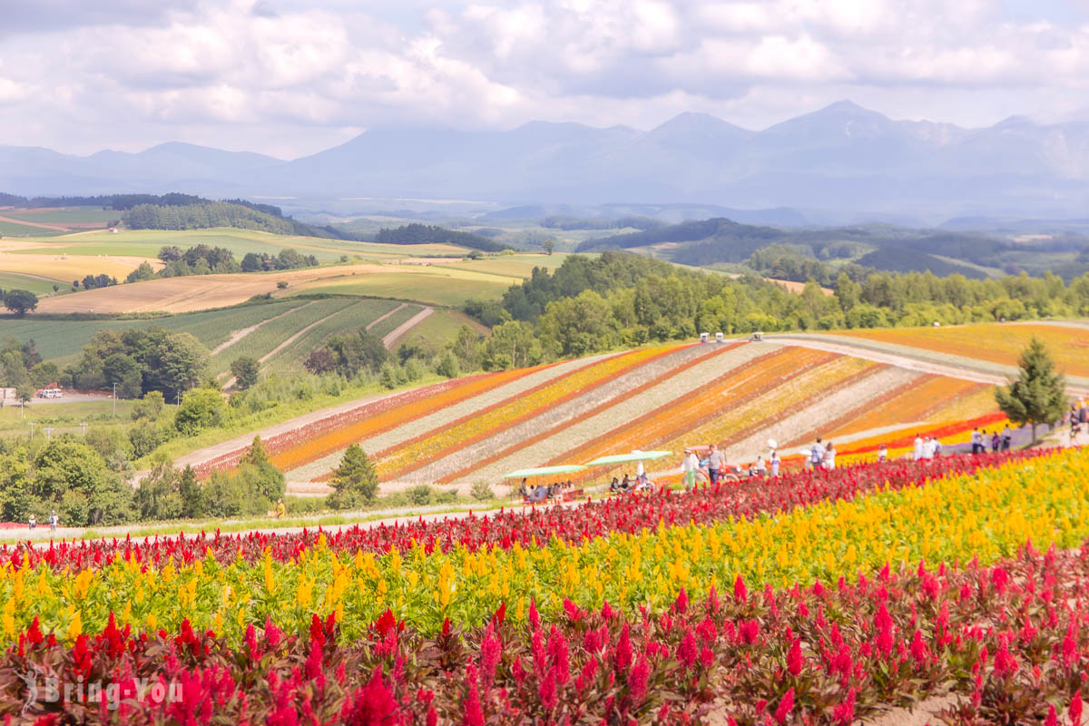 夏天北海道自由行景点攻略
