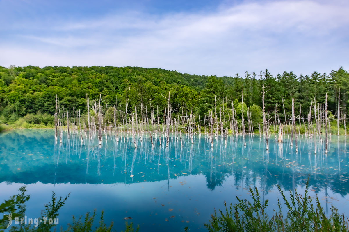 夏天北海道自由行景点攻略