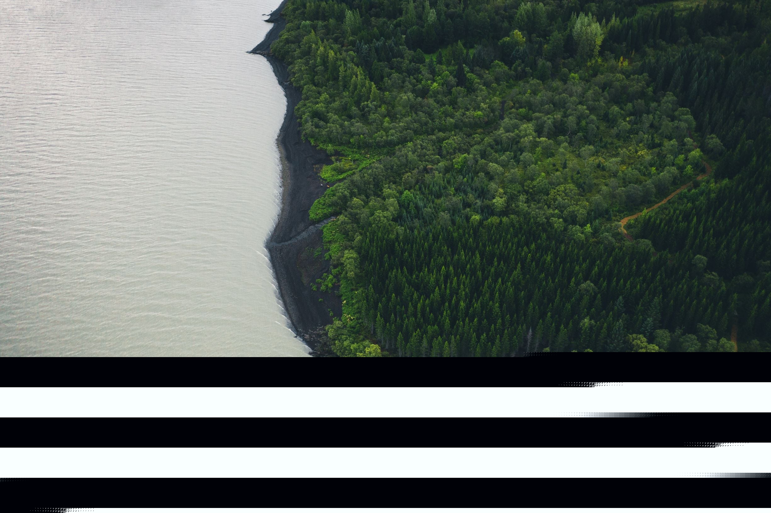 郁郁葱葱的Hallormsstaðaskógur森林 郁郁葱葱的Hallormsstaðaskógur森林