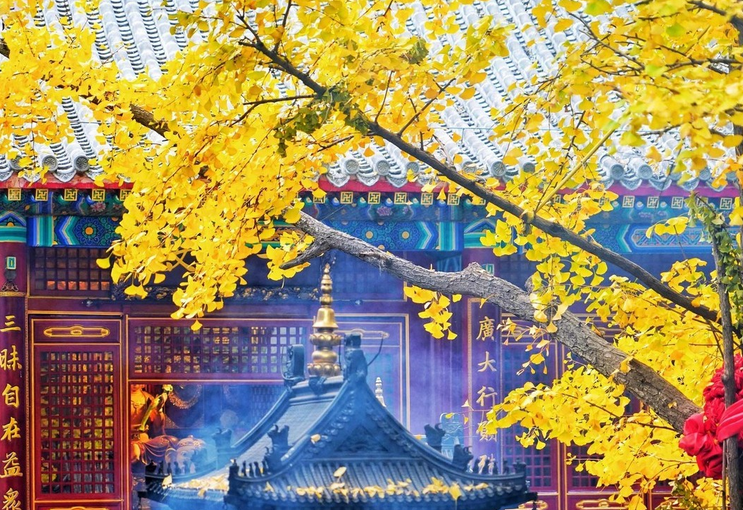 大悲寺