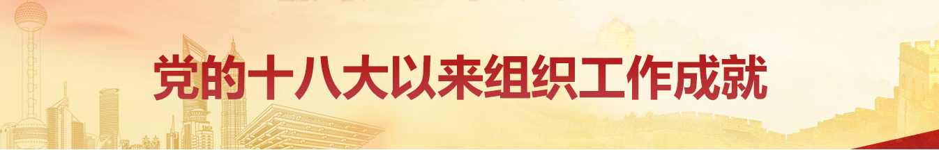 党的十八大以来组织工作成就