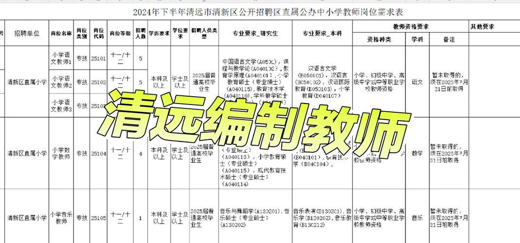 广东白云学院2025年专任教师招聘公告